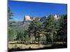 Pine Forest and Cliffs Above the Jucar Gorge, Cuenca, Castilla-La Mancha (New Castile), Spain-Ruth Tomlinson-Mounted Photographic Print