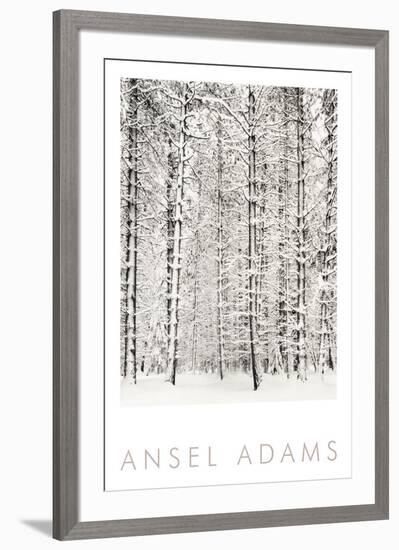 Pine Forest in the Snow, Yosemite National Park-Ansel Adams-Framed Art Print