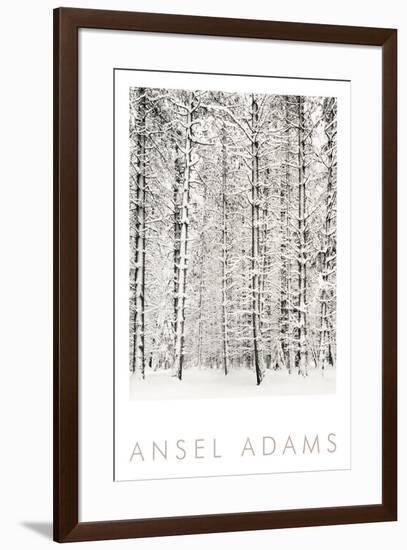 Pine Forest in the Snow, Yosemite National Park-Ansel Adams-Framed Art Print