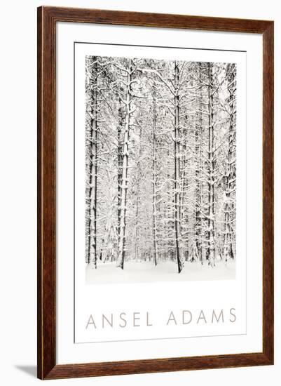 Pine Forest in the Snow, Yosemite National Park-Ansel Adams-Framed Art Print