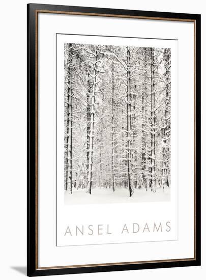 Pine Forest in the Snow, Yosemite National Park-Ansel Adams-Framed Art Print