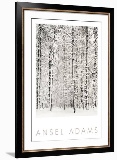 Pine Forest in the Snow, Yosemite National Park-Ansel Adams-Framed Art Print