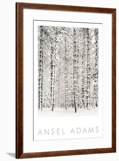 Pine Forest in the Snow, Yosemite National Park-Ansel Adams-Framed Art Print