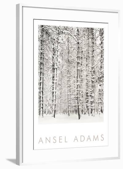 Pine Forest in the Snow, Yosemite National Park-Ansel Adams-Framed Art Print