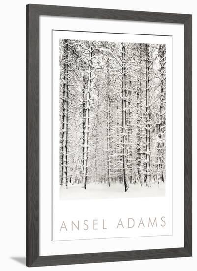 Pine Forest in the Snow, Yosemite National Park-Ansel Adams-Framed Art Print