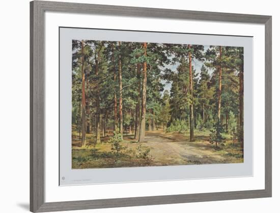 Pine Forest-Iwan Iwanowitsch Schischkin-Framed Collectable Print