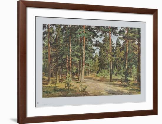 Pine Forest-Iwan Iwanowitsch Schischkin-Framed Collectable Print