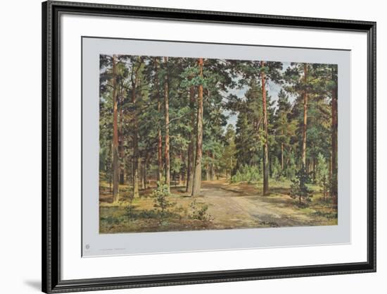 Pine Forest-Iwan Iwanowitsch Schischkin-Framed Collectable Print