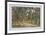 Pine Forest-Iwan Iwanowitsch Schischkin-Framed Collectable Print