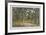 Pine Forest-Iwan Iwanowitsch Schischkin-Framed Collectable Print