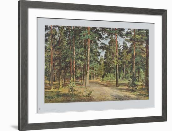 Pine Forest-Iwan Iwanowitsch Schischkin-Framed Collectable Print