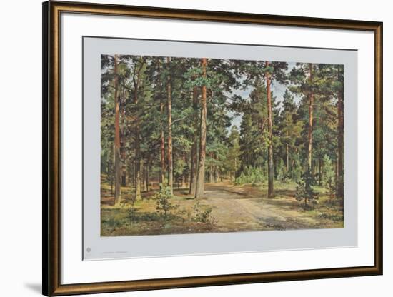 Pine Forest-Iwan Iwanowitsch Schischkin-Framed Collectable Print