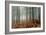 Pine Forest-Adrian Bicker-Framed Photographic Print