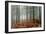 Pine Forest-Adrian Bicker-Framed Photographic Print