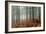 Pine Forest-Adrian Bicker-Framed Photographic Print