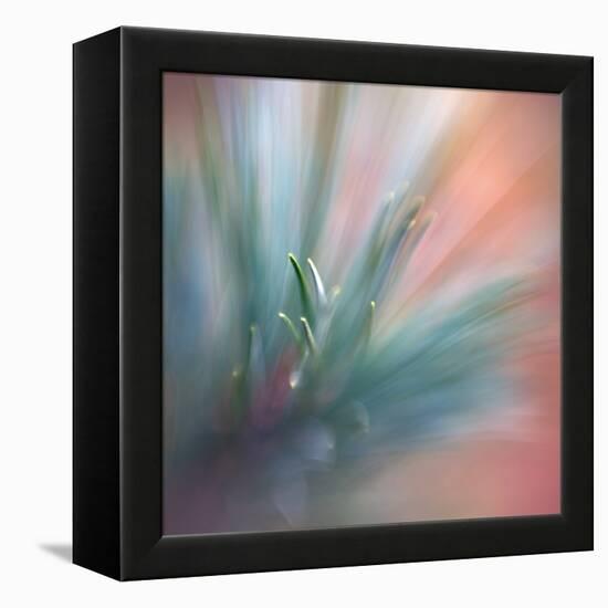 Pine Needles 1-Ursula Abresch-Framed Premier Image Canvas