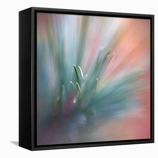 Pine Needles 1-Ursula Abresch-Framed Premier Image Canvas
