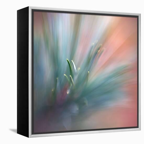 Pine Needles 1-Ursula Abresch-Framed Premier Image Canvas