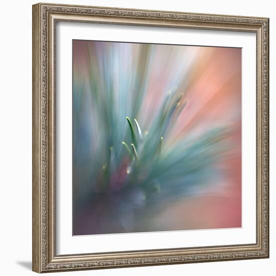 Pine Needles 1-Ursula Abresch-Framed Photographic Print