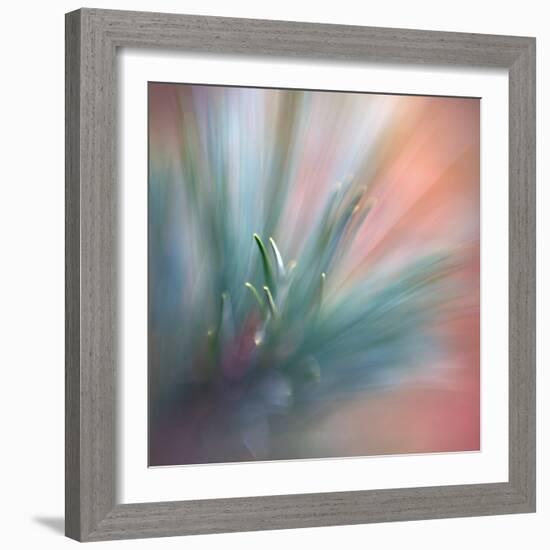 Pine Needles 1-Ursula Abresch-Framed Photographic Print