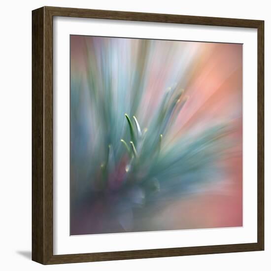 Pine Needles 1-Ursula Abresch-Framed Photographic Print