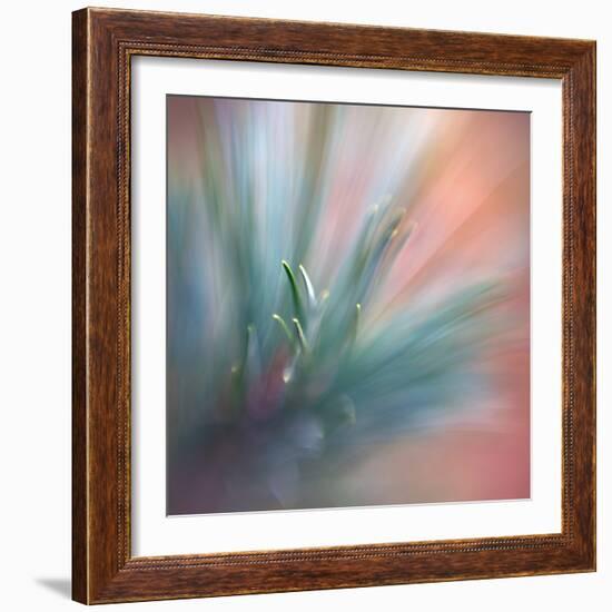 Pine Needles 1-Ursula Abresch-Framed Photographic Print