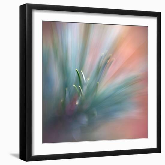 Pine Needles 1-Ursula Abresch-Framed Photographic Print