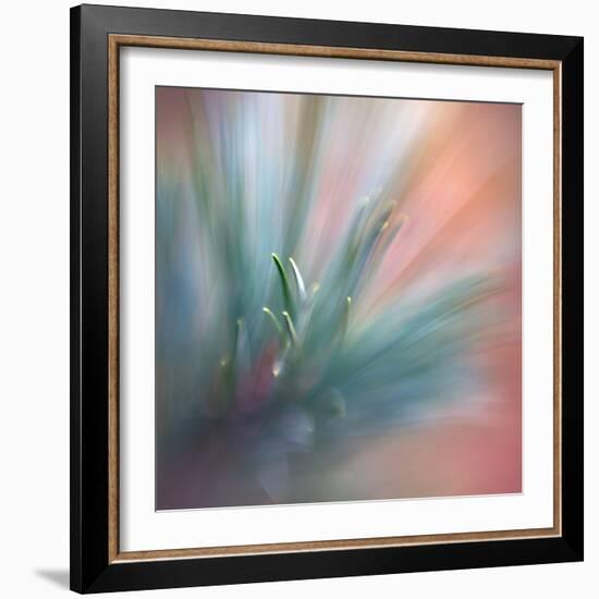 Pine Needles 1-Ursula Abresch-Framed Photographic Print