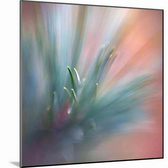 Pine Needles 1-Ursula Abresch-Mounted Photographic Print