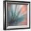 Pine Needles 1-Ursula Abresch-Framed Photographic Print