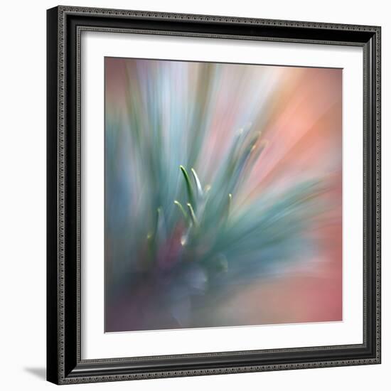 Pine Needles 1-Ursula Abresch-Framed Photographic Print