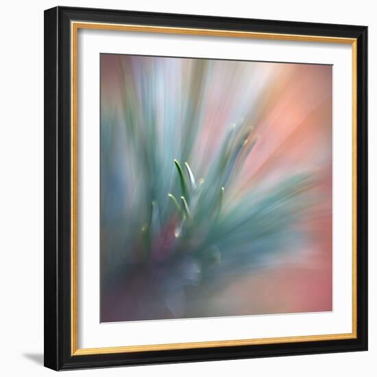 Pine Needles 1-Ursula Abresch-Framed Photographic Print