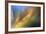 Pine Needles 2-Ursula Abresch-Framed Photographic Print