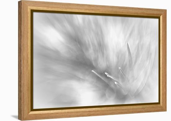 Pine Needles 2-Ursula Abresch-Framed Premier Image Canvas