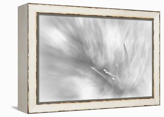 Pine Needles 2-Ursula Abresch-Framed Premier Image Canvas