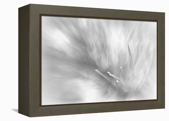 Pine Needles 2-Ursula Abresch-Framed Premier Image Canvas