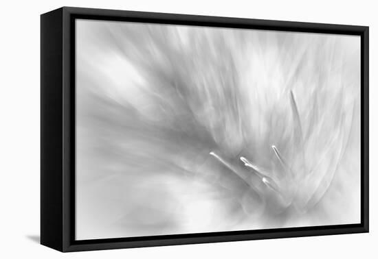 Pine Needles 2-Ursula Abresch-Framed Premier Image Canvas