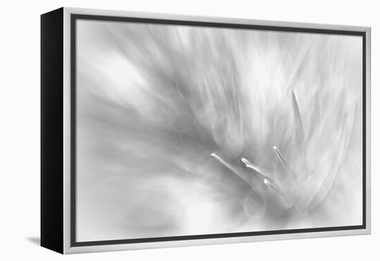 Pine Needles 2-Ursula Abresch-Framed Premier Image Canvas