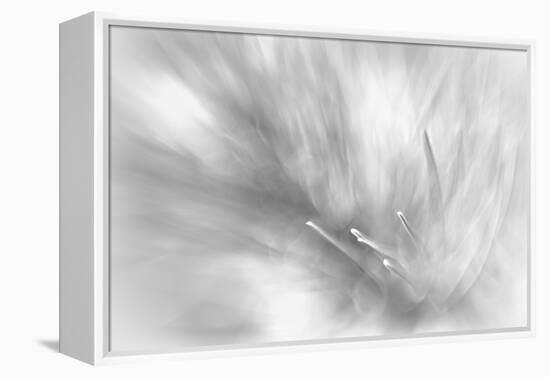 Pine Needles 2-Ursula Abresch-Framed Premier Image Canvas