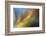 Pine Needles 2-Ursula Abresch-Framed Photographic Print