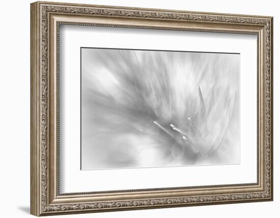 Pine Needles 2-Ursula Abresch-Framed Photographic Print