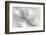 Pine Needles 2-Ursula Abresch-Framed Photographic Print