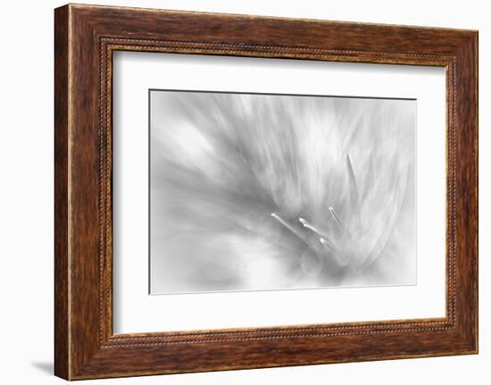 Pine Needles 2-Ursula Abresch-Framed Photographic Print