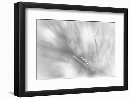 Pine Needles 2-Ursula Abresch-Framed Photographic Print