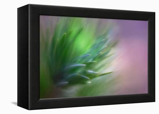 Pine Needles 5-Ursula Abresch-Framed Premier Image Canvas