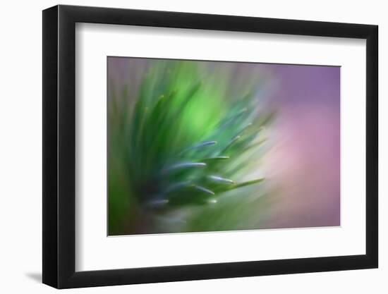 Pine Needles 5-Ursula Abresch-Framed Photographic Print