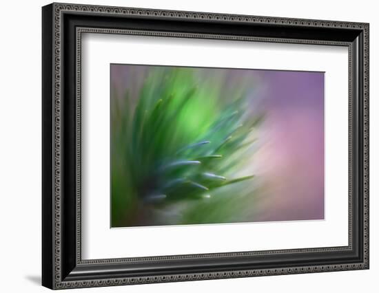 Pine Needles 5-Ursula Abresch-Framed Photographic Print