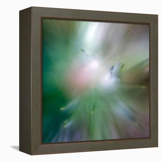 Pine Needles 6-Ursula Abresch-Framed Premier Image Canvas