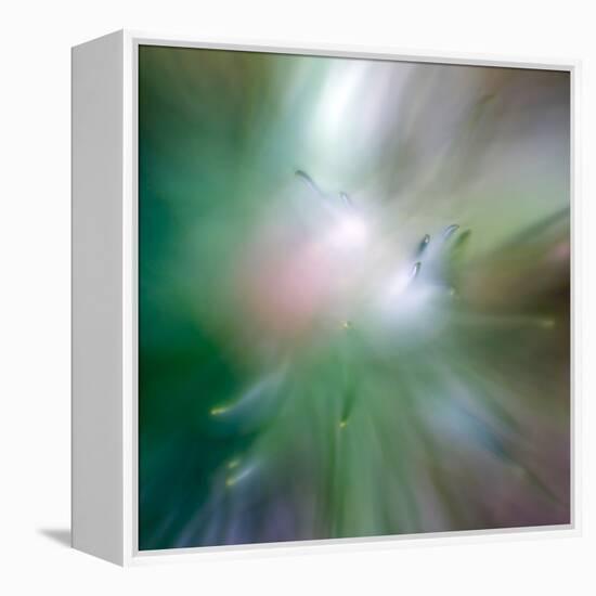 Pine Needles 6-Ursula Abresch-Framed Premier Image Canvas