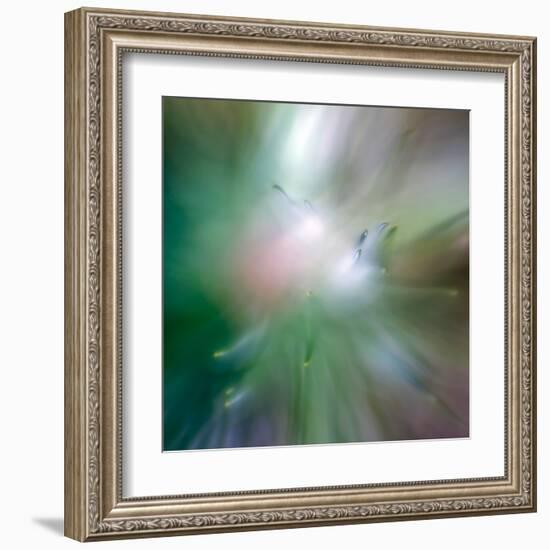 Pine Needles 6-Ursula Abresch-Framed Premium Photographic Print